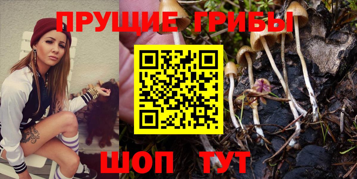 Галлюциногенные грибы Magic Shrooms  Вход с VPN  как найти закладки  Каменск-Шахтинский  Галлюциногенные грибы Psilocybine cubensis 